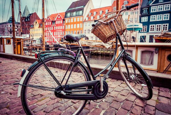 immersion high chool danemark programme d echange