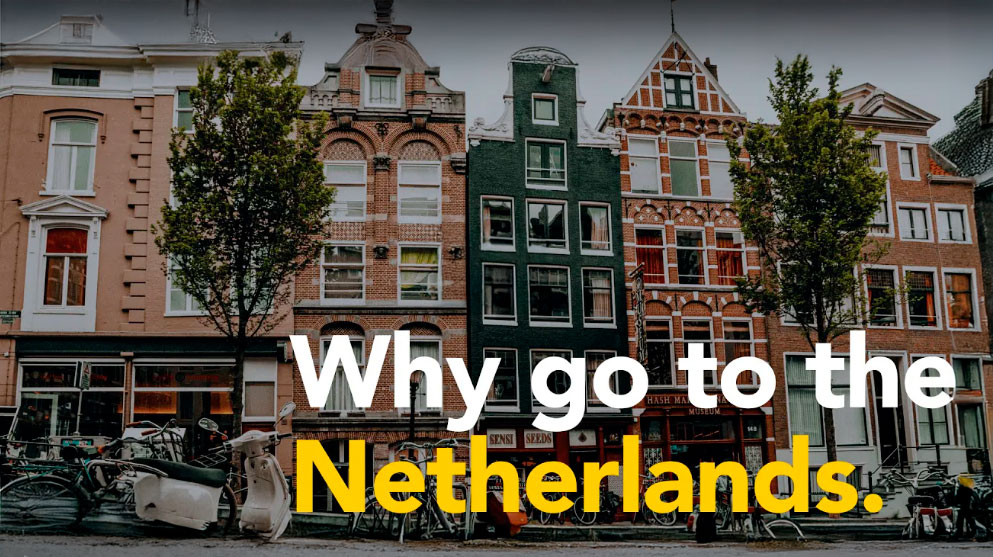 sts video netherlands